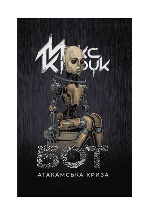 Книга Бот. Атакамська криза