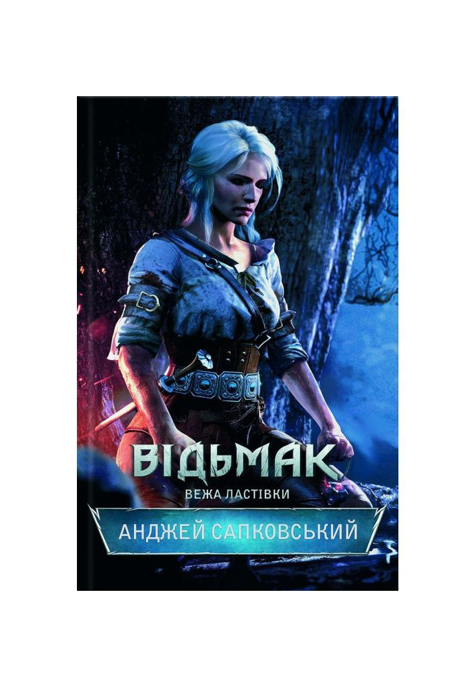Book the witcher Swallow Tower