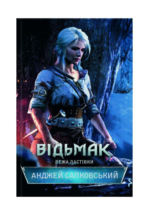 Book the witcher Swallow Tower