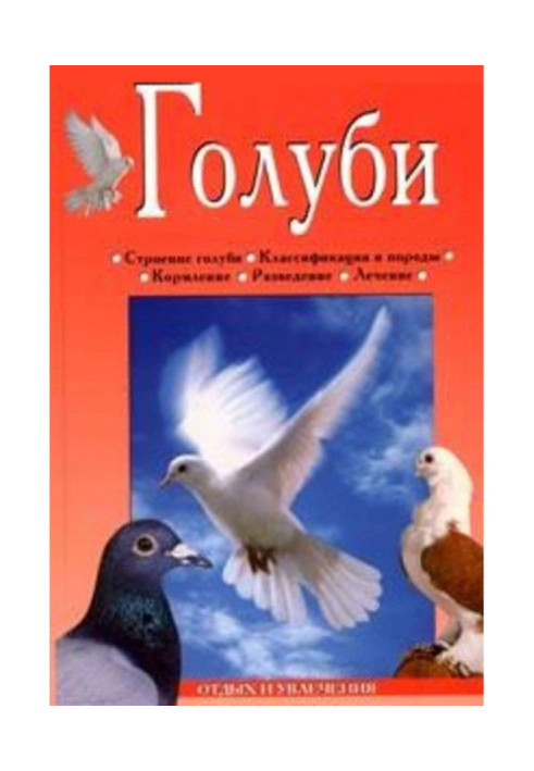 Книга Голуби
