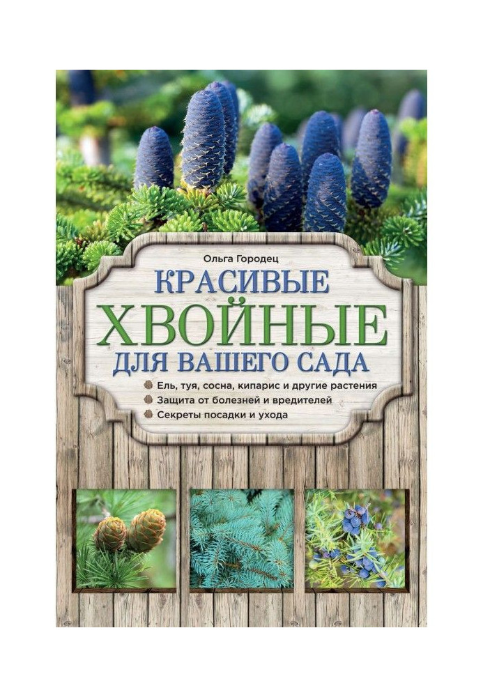 Книга Красиві хвойні для саду