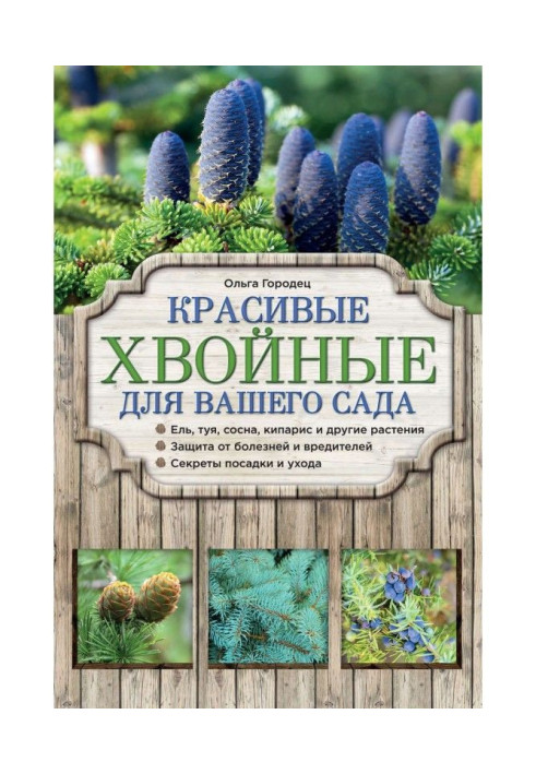 Книга Красиві хвойні для саду