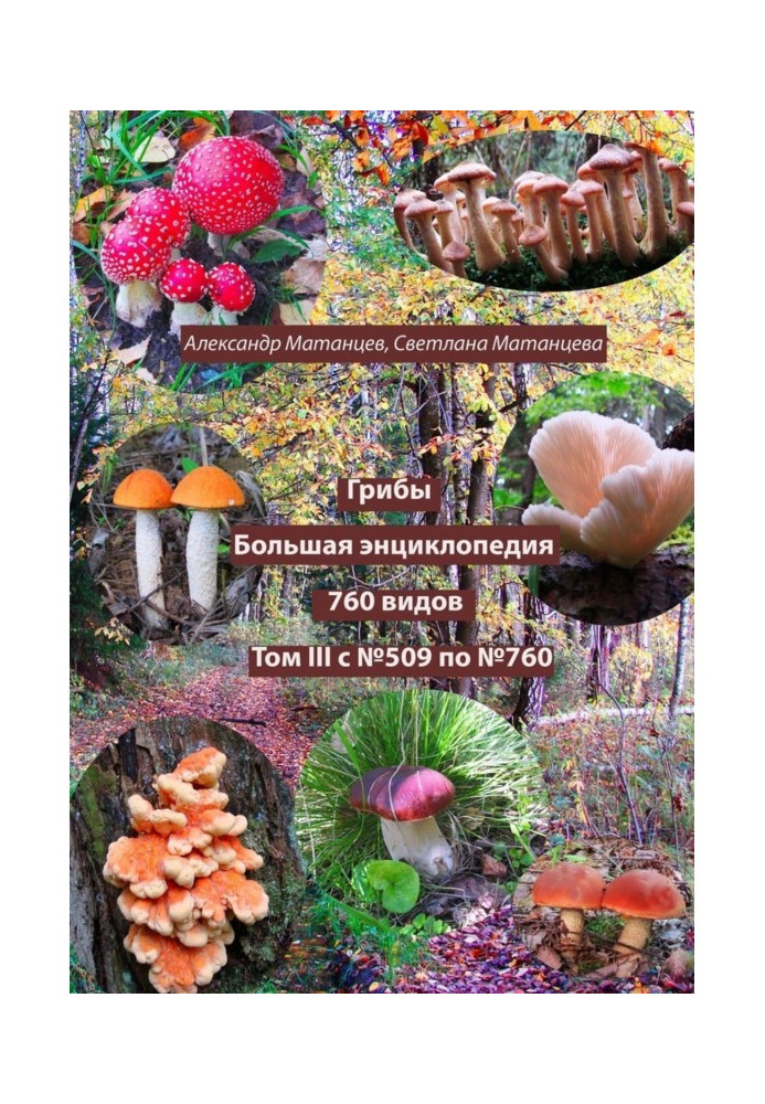 Book Mushrooms. Big encyclopedia. 760 species. Volume III. From #509 to #760