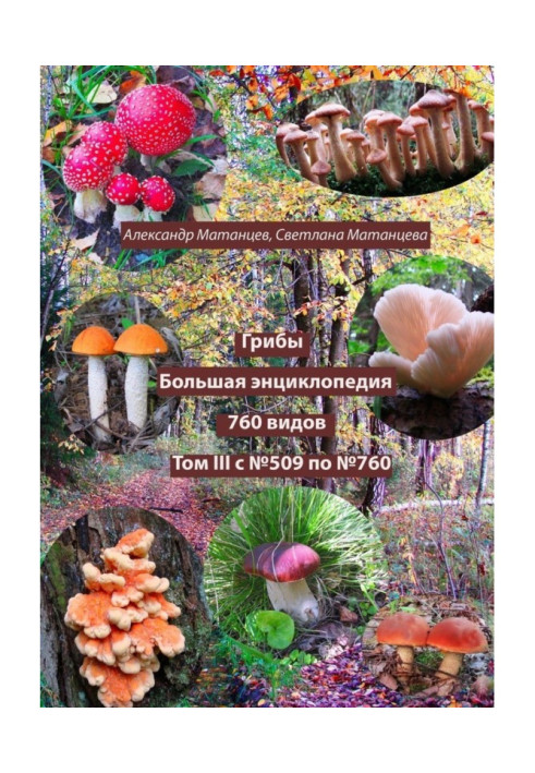 Book Mushrooms. Big encyclopedia. 760 species. Volume III. From #509 to #760