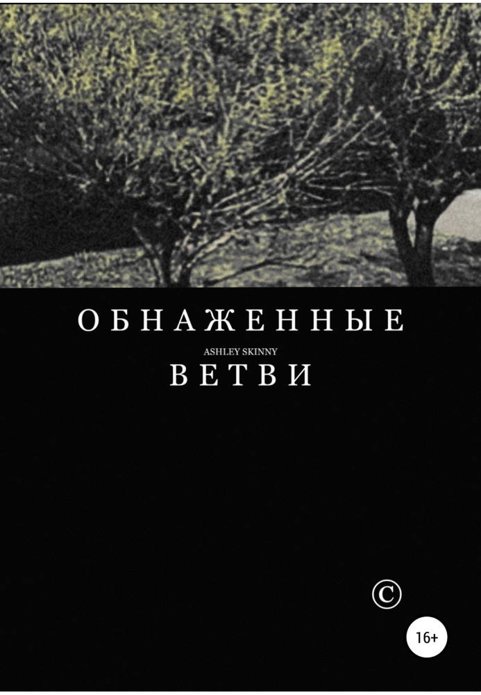 Book Bare branches