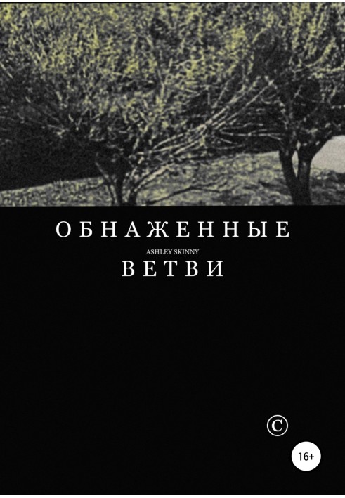 Book Bare branches