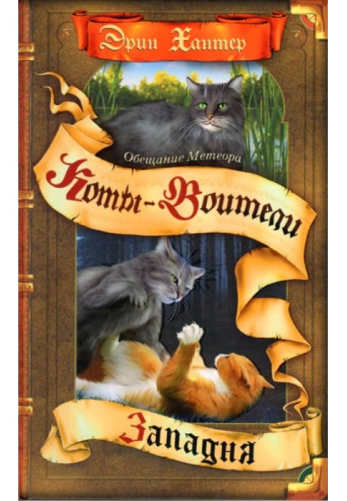 Book Meteor's Promise. Book 1. Trap