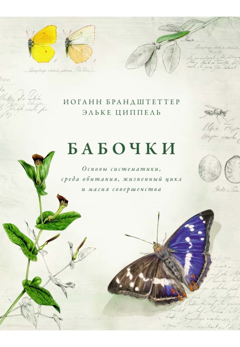 Book Butterflies. Basics of taxonomy, habitat, life cycle and the magic of perfection
