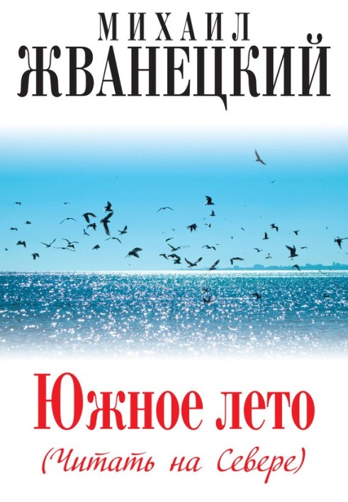 Book Southern summer (Read in the North)