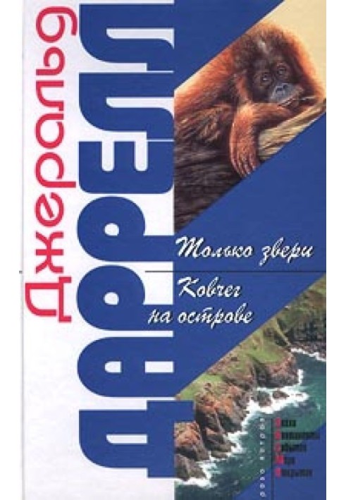 Book Ark on the island