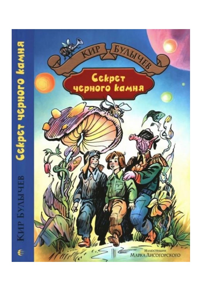 Книга Секрет черного камня