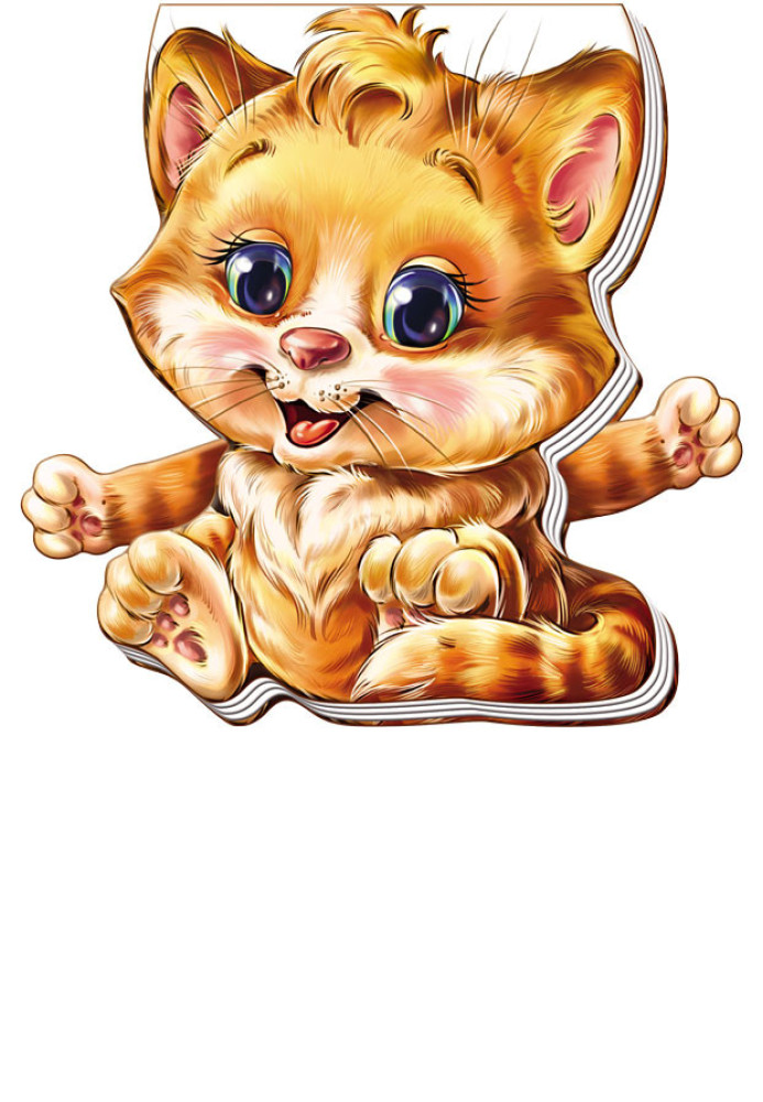 Книга Котик