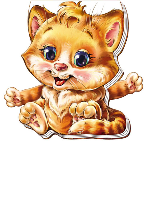 Книга Котик