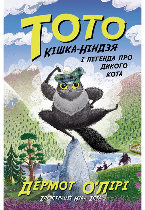 Book Тото. Кішка-ніндзя і легенда про дикого кота. Книга