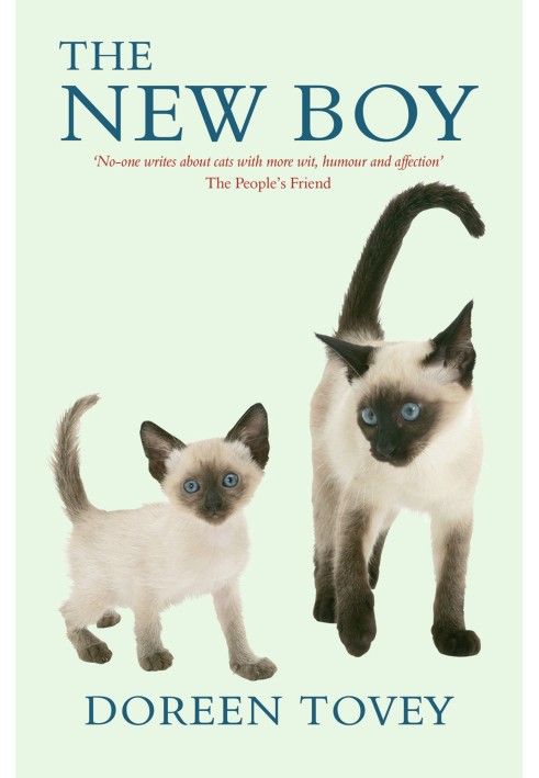 Book The New Boy