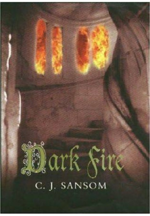 Book Dark Fire