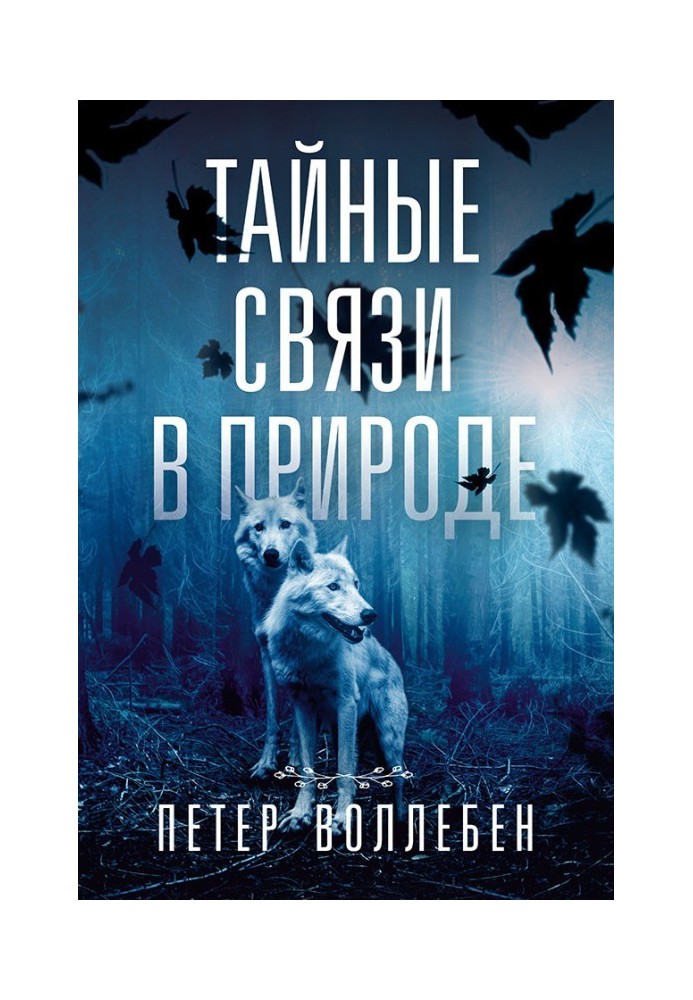 Книга Тайные связи в природе