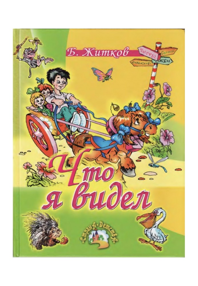 Book What did I see