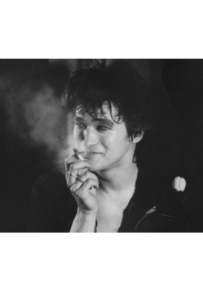 Book Viktor Tsoi as a teenage singer and destructor