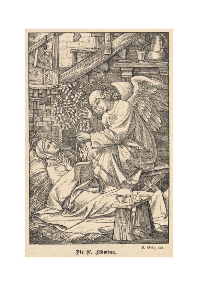 Book Life of the Virgin Lidvina