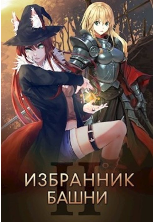 Книга Избранник башни 2