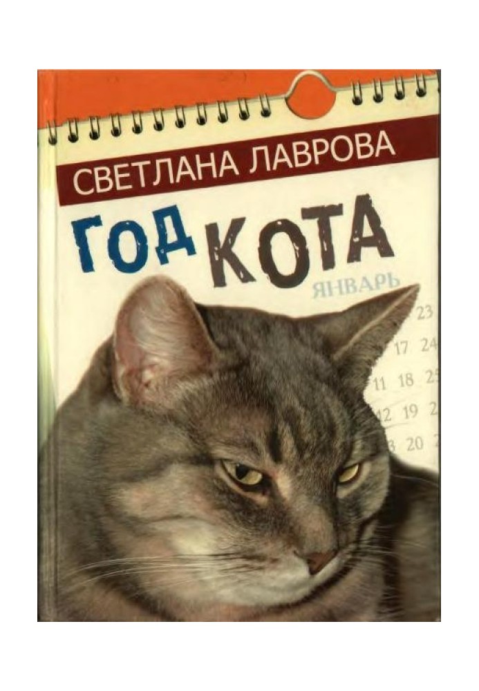 Book Year of the cat