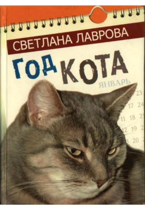 Book Year of the cat