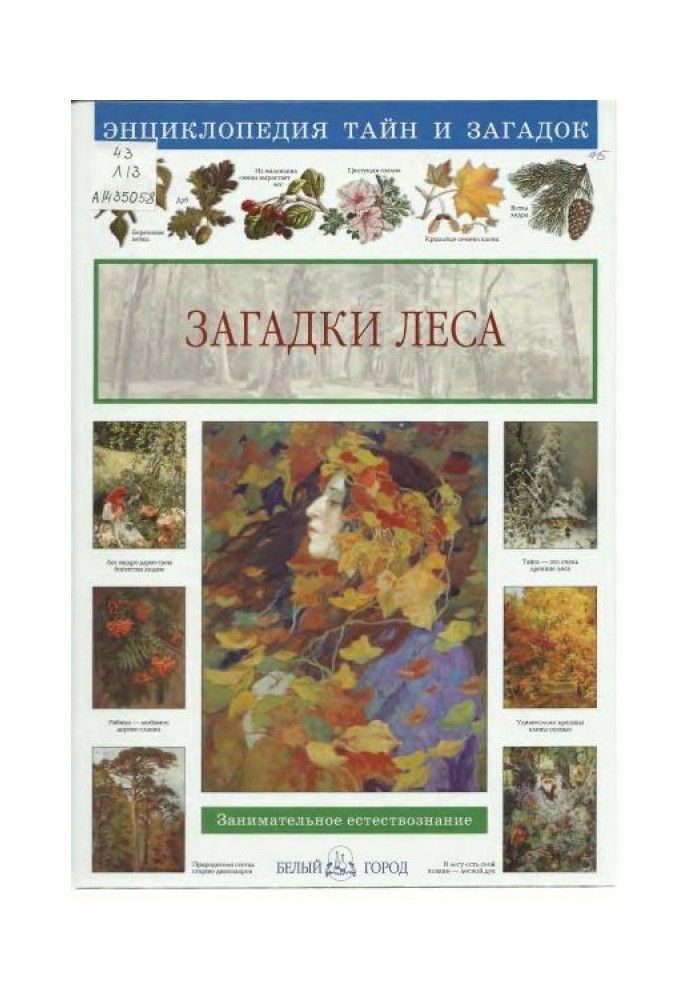 Book Mysteries of the forest