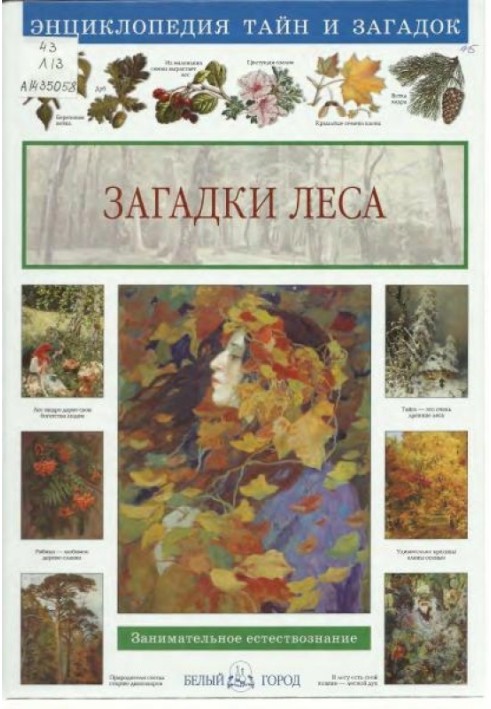 Book Mysteries of the forest