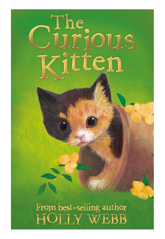 Book The Curious Kitten