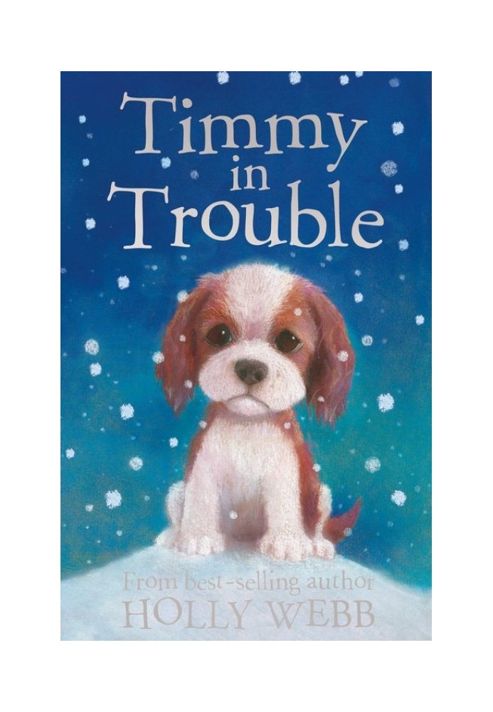Book Timmy in Trouble