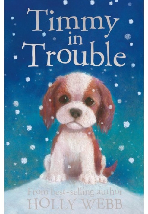 Book Timmy in Trouble