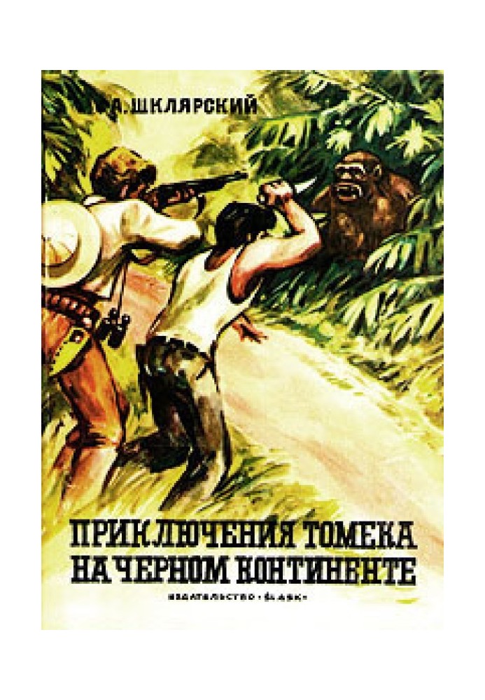 Book Adventures of Tomek on the Dark Continent
