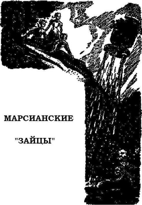 Книга Марсіанські «зайці»
