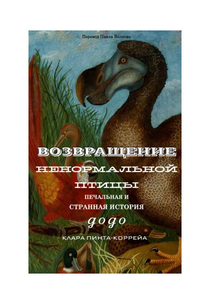 Book Return of the Abnormal Bird: The Sad and Strange Story of the Dodo