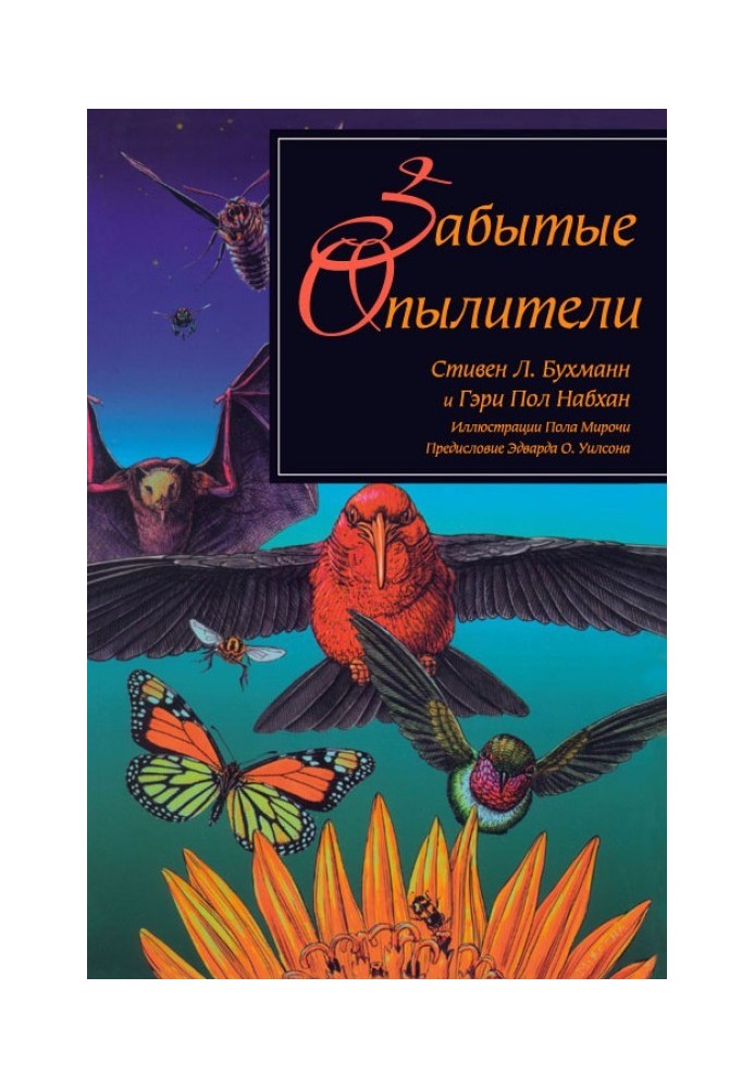 Book Forgotten pollinators