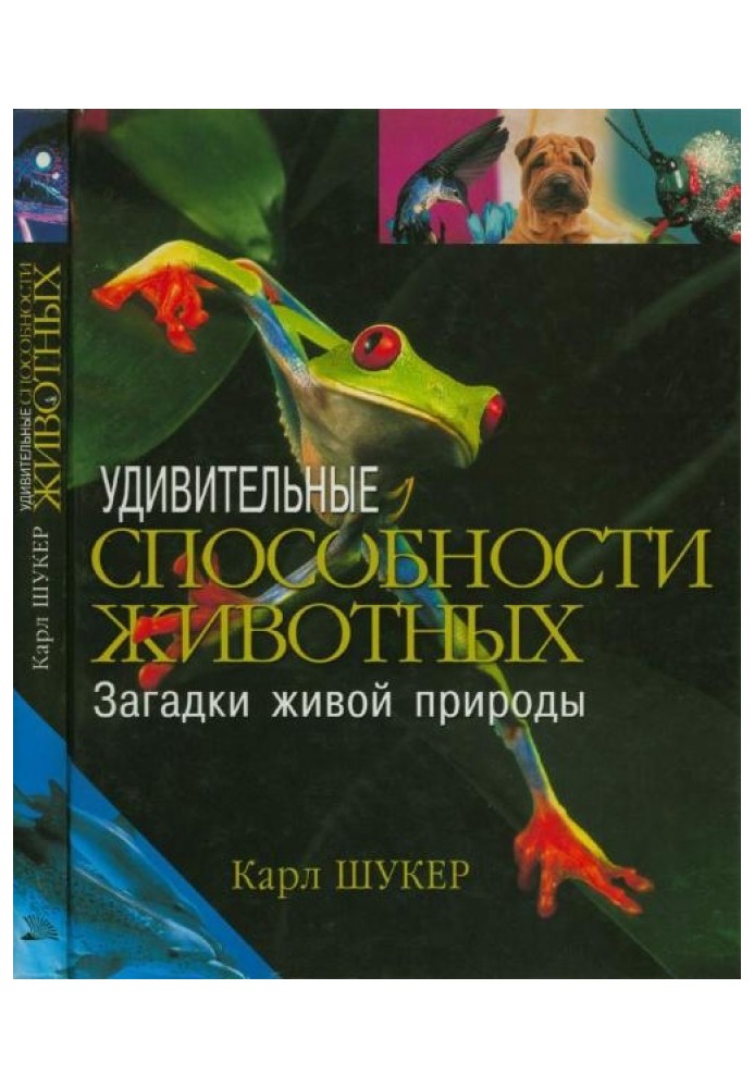Book Amazing animal abilities. Mysteries of living nature