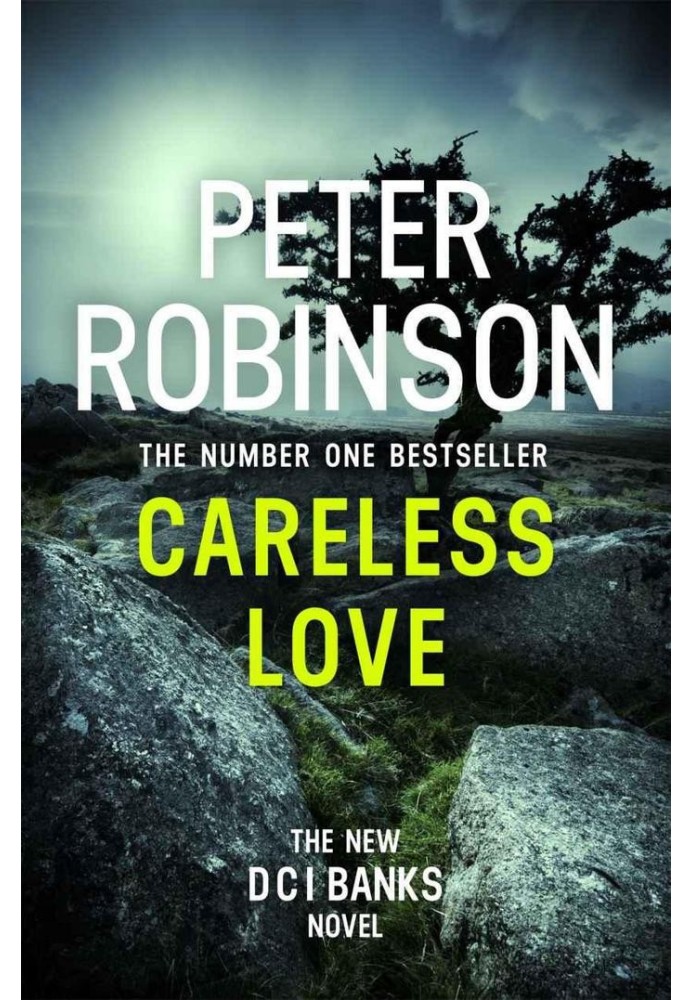 Book Careless Love