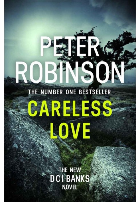 Book Careless Love