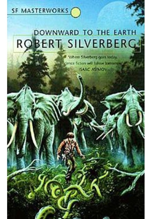 Книга Вниз к Земле