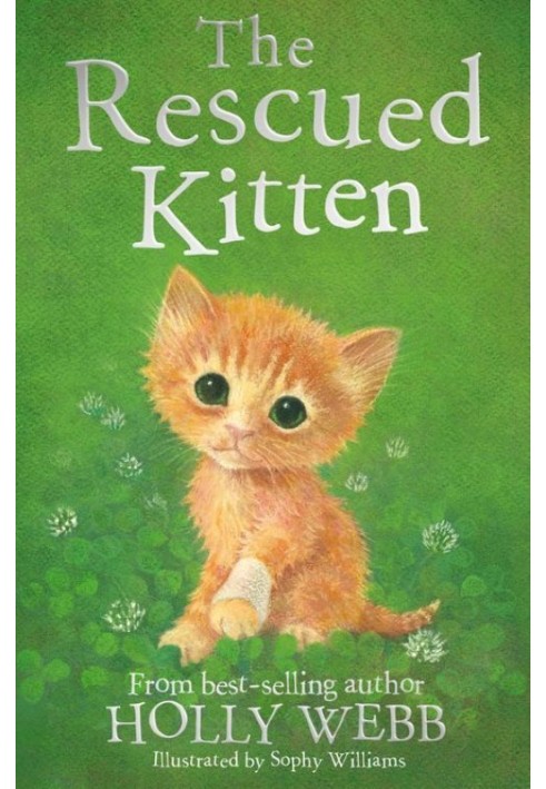 Книга Спасенный котенок