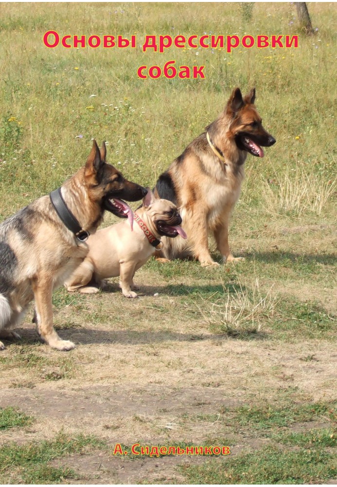 Book Dog Training Basics