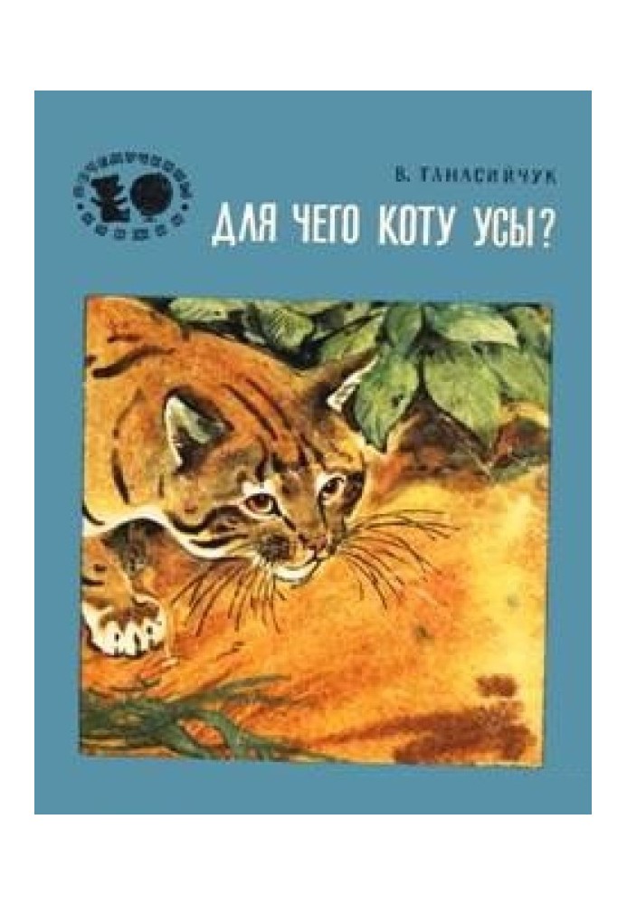Book Why does a cat need a mustache?