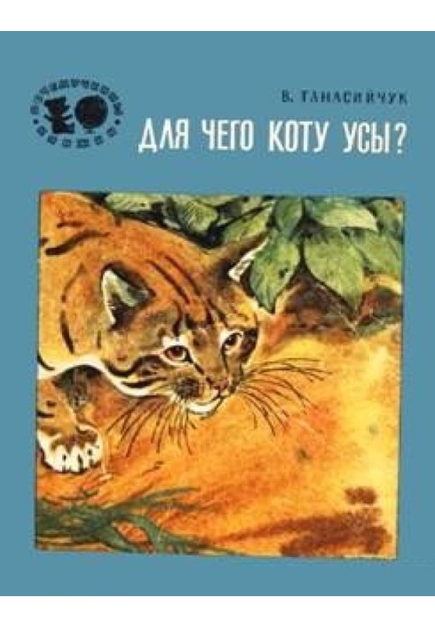 Book Why does a cat need a mustache?