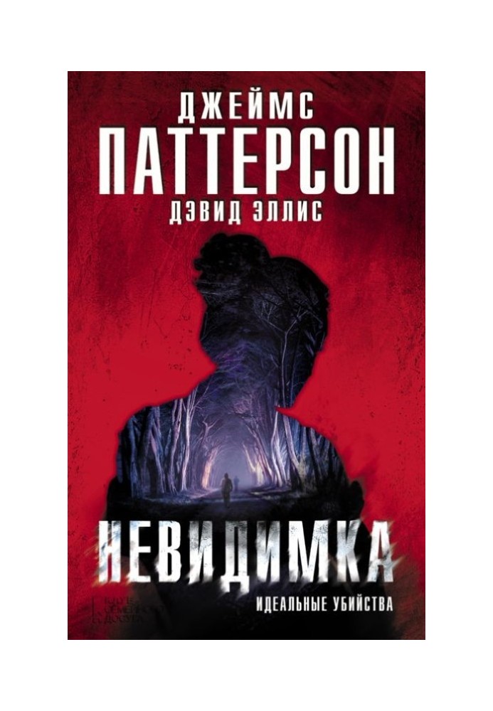 Book Invisible. Perfect Murders