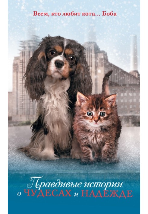 Book True stories of miracles and hope