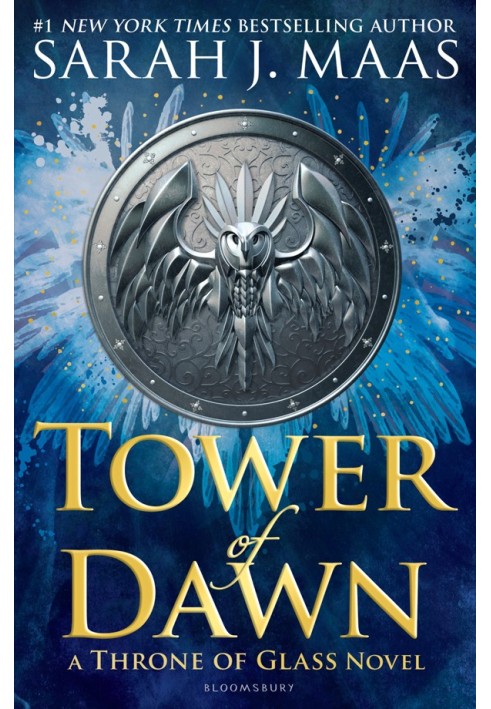 Book Tower of Dawn