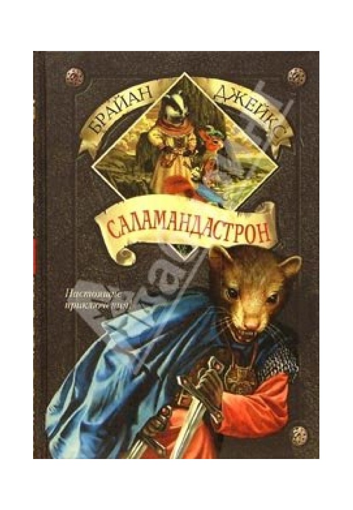 Book Salamandastron