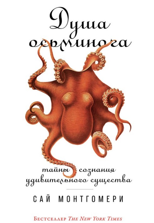 Book Octopus soul