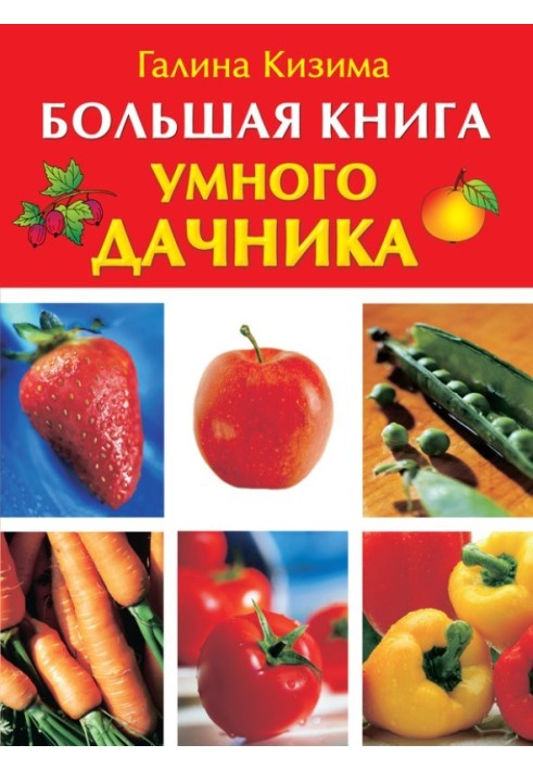 Book The big book of a smart summer resident